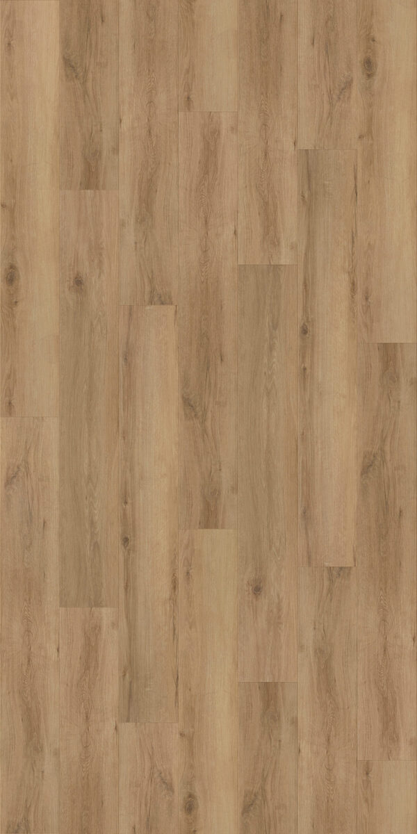 Akashi - Image 2