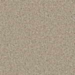 Ambassador - Olympian