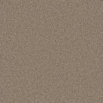 Beechwood - Aspendale