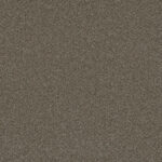 Wild Wood - Boardwalk