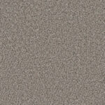 Boiling Brook - Second City