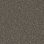 Plank Walk - Boardwalk