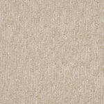 Canyon - Sanoran Charm