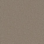 Carlisle - Aspendale