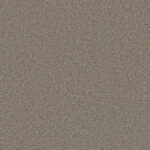 Castlewood - Aspendale