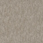 Chandler - Sanoran Charm