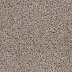 Contender - Olympian