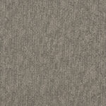 Kingman - Sanoran Charm