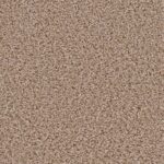 Cosmo Paradise - Mystic Manor