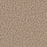 Mountain Moss - Mystic Manor