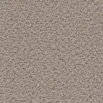 Sunrise Comet - Mystic Manor