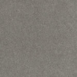 Cardinal - Bright View