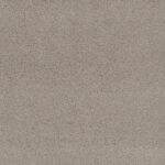 Polarize - Bright View