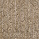Sand Dune