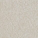 Abiding Beige