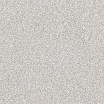 Lasting Taupe