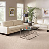 Artistic Vision Collection - Image 2