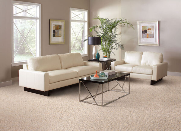 Artistic Vision Collection - Image 2