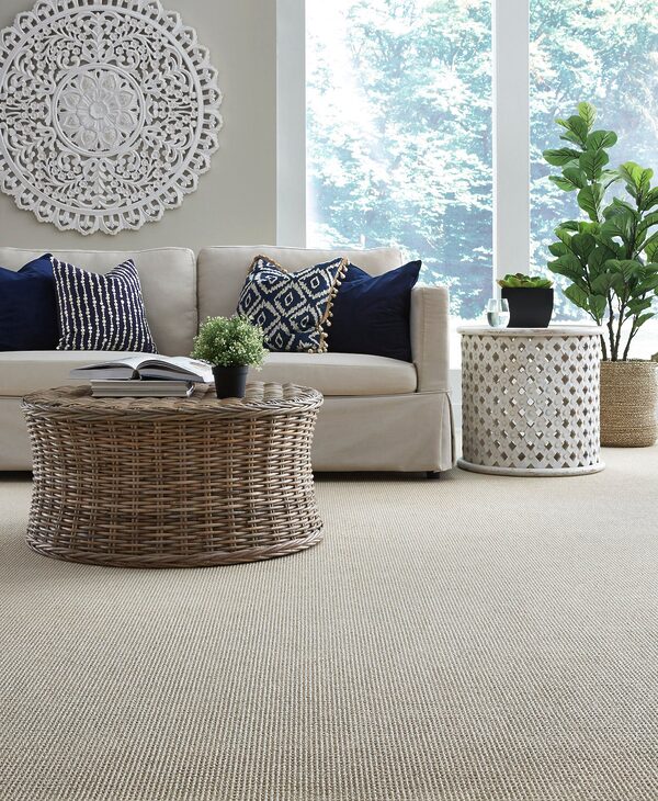 Bandala Jazzed Collection - Image 2
