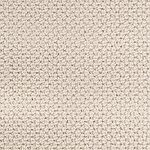 Shell Beige