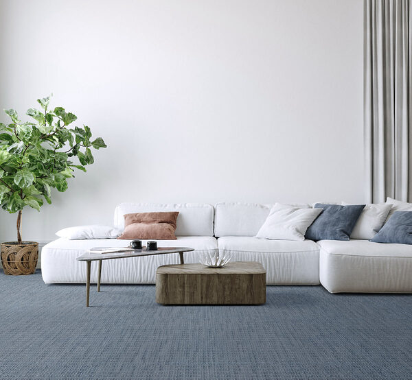 Beguiling Collection - Image 2