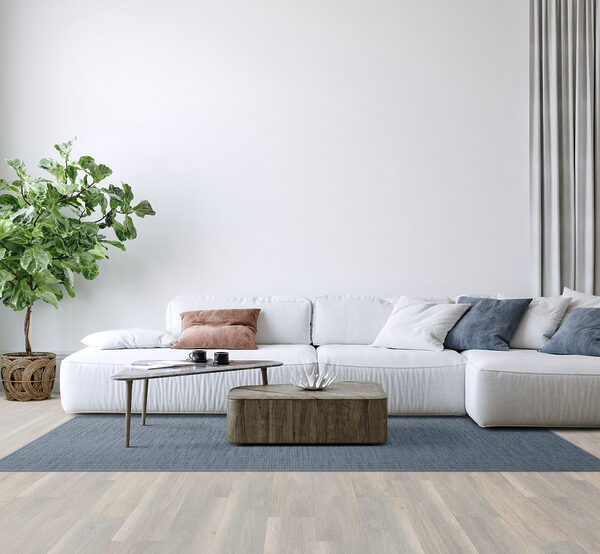 Beguiling Collection - Image 3