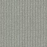 Pine Needle