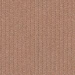 Terra Cotta
