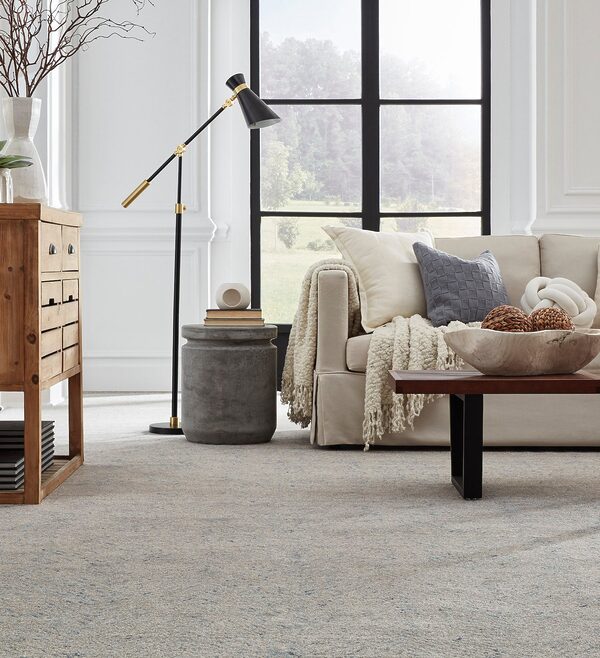 Hamilton Collection - Image 2