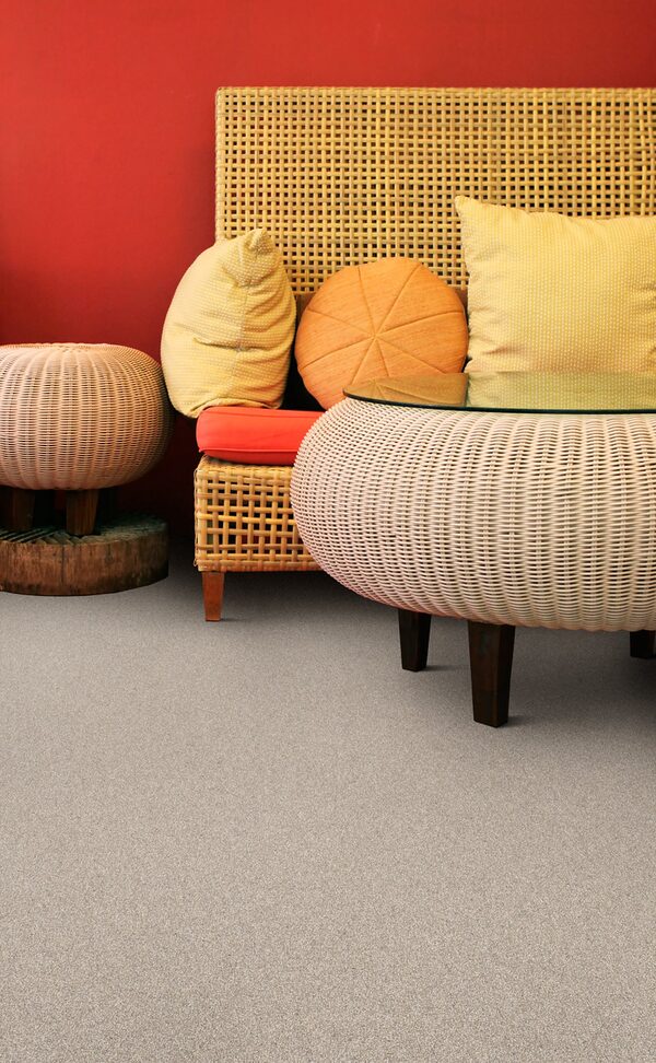 Highland Collection - Image 2