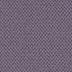 Violette