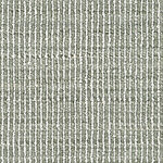 Palm Leaf