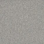 Pebble