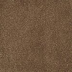 Flax