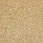Cornsilk