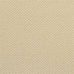 Cadmium Yellow