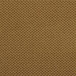 Raw Sienna