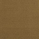 Raw Umber