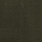 Deep Olive