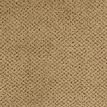 Wainscot