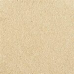 Beach Comber