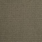 Cotton Seed