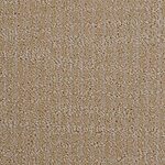Sand Dune