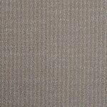 Shadow Grey