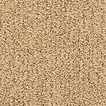 Rattan