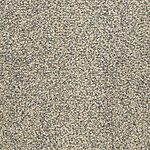 Moon Dust