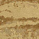 Grassland