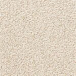 Pumice Stone