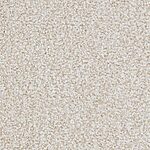 Abiding Beige