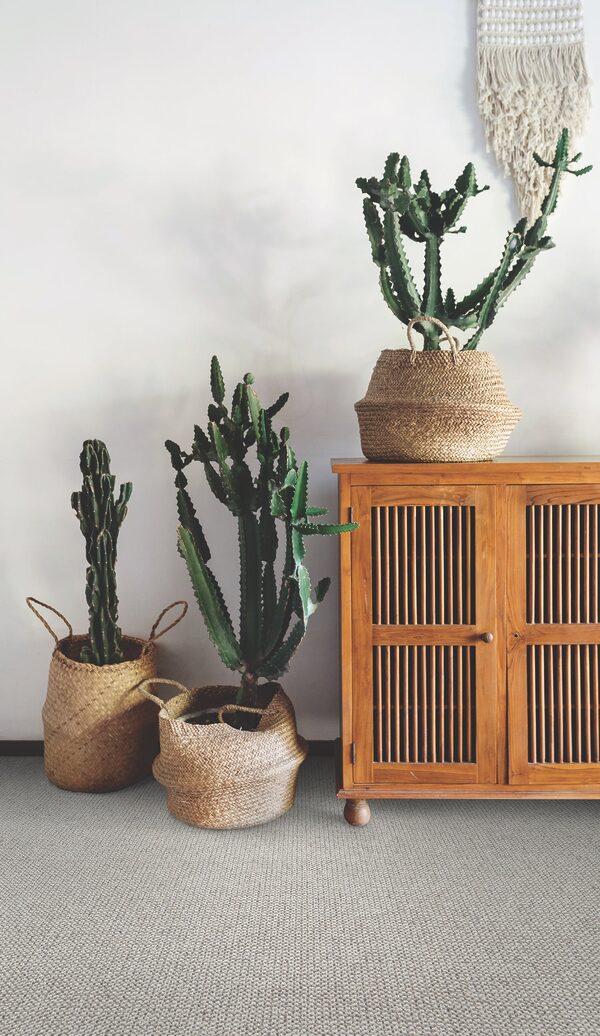 Intention Collection - Image 2